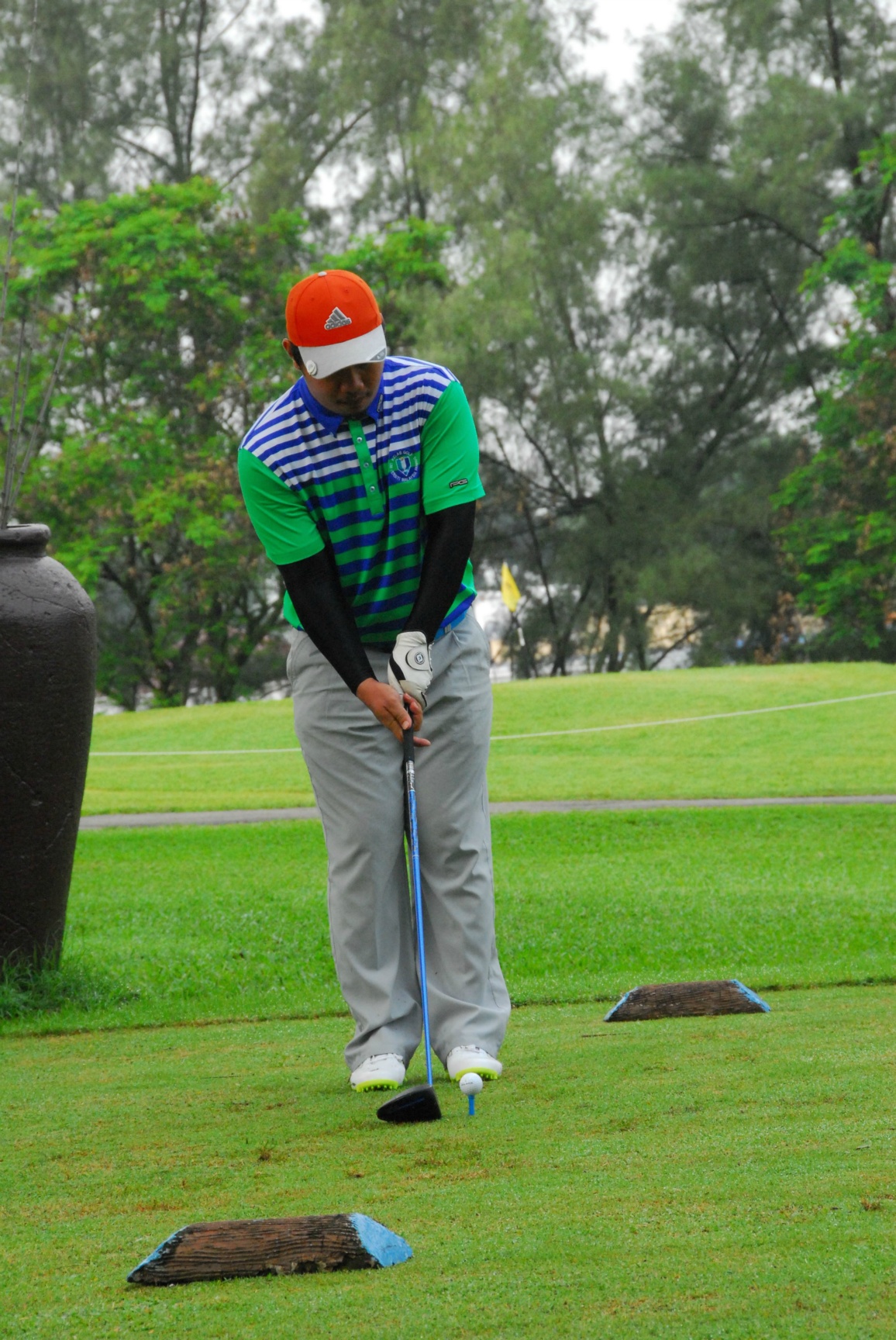 PRO15 157 GOLF DSC 0260.JPG